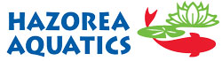 Hazorea Aquatics